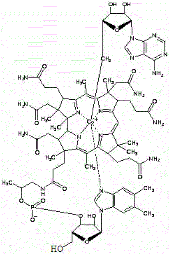 A kind of adenosylcobalamin compound and its pharmaceutical composition