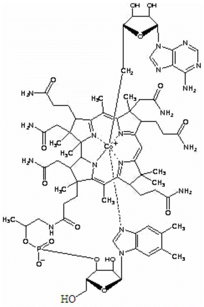 A kind of adenosylcobalamin compound and its pharmaceutical composition