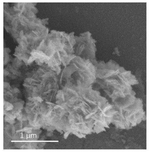 Bismuth metal loaded tungsten nitride photocatalyst as well as preparation method and application thereof