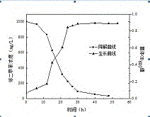 O-xylene degradation bacterium and application thereof