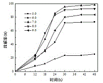 O-xylene degradation bacterium and application thereof