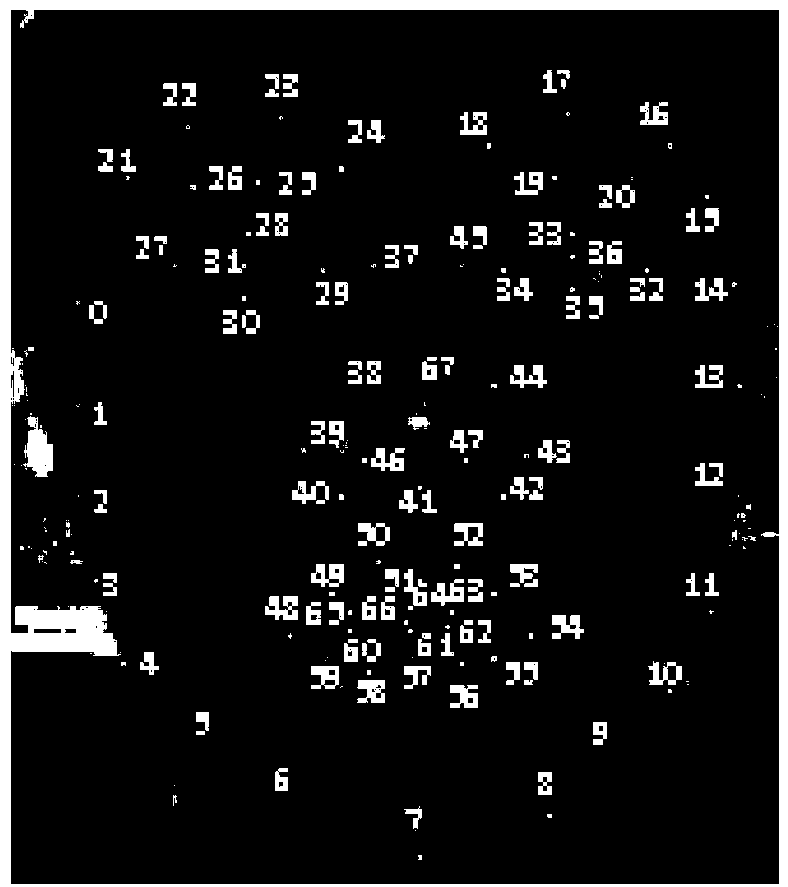 Head posture estimation method based on multi-feature-point set active shape model (ASM)