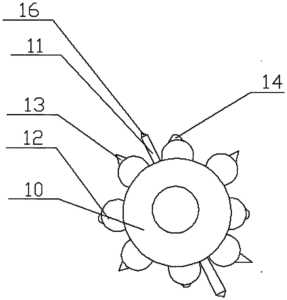 Kneading device for okra leaf processing