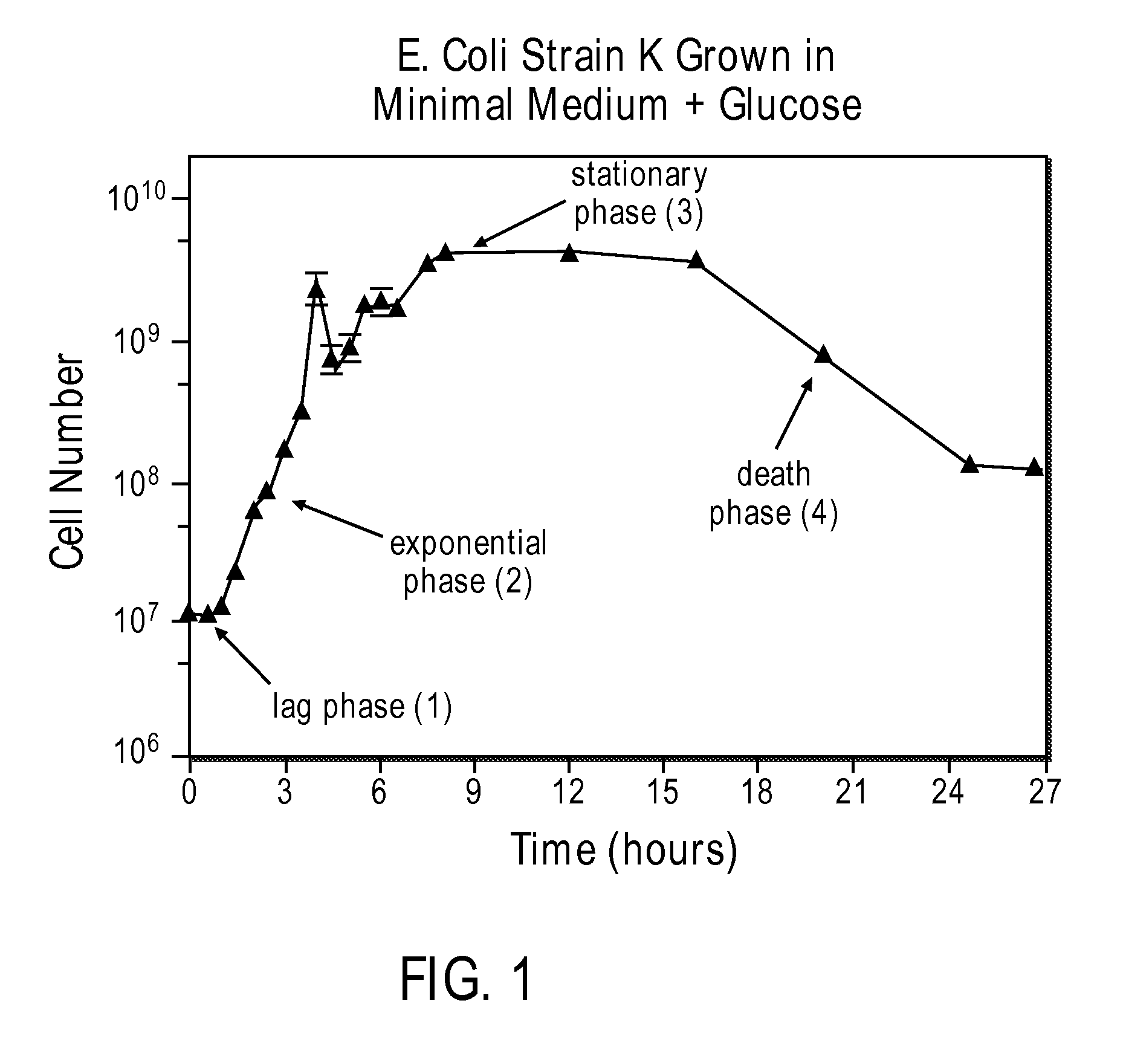 Systems and Methods for Large-Scale Production and Harvesting of Oil-Rich Algae