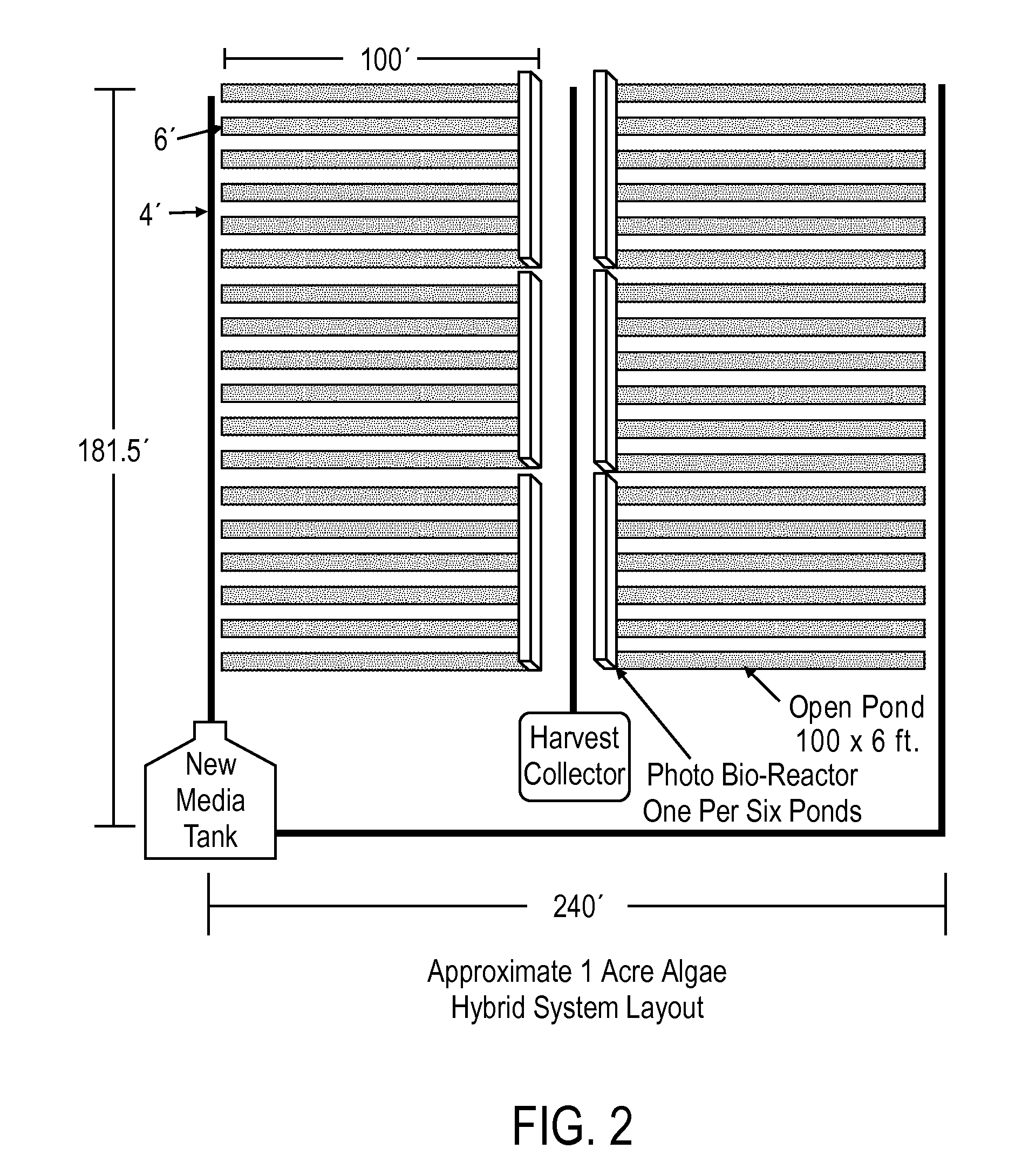 Systems and Methods for Large-Scale Production and Harvesting of Oil-Rich Algae
