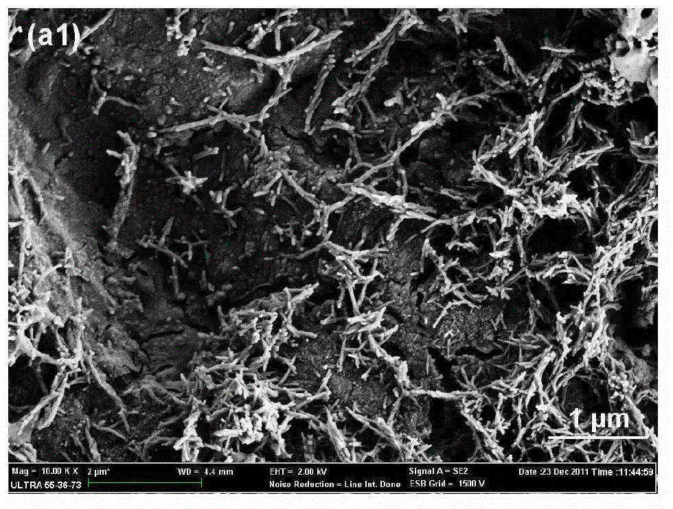 Method for chemically preparing nano microcrystalline cellulose by utilizing moso bamboo