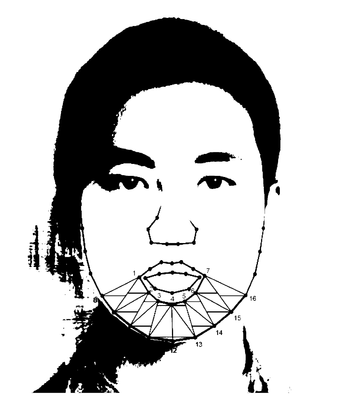 Triangular gridding based human image face-lift processing method
