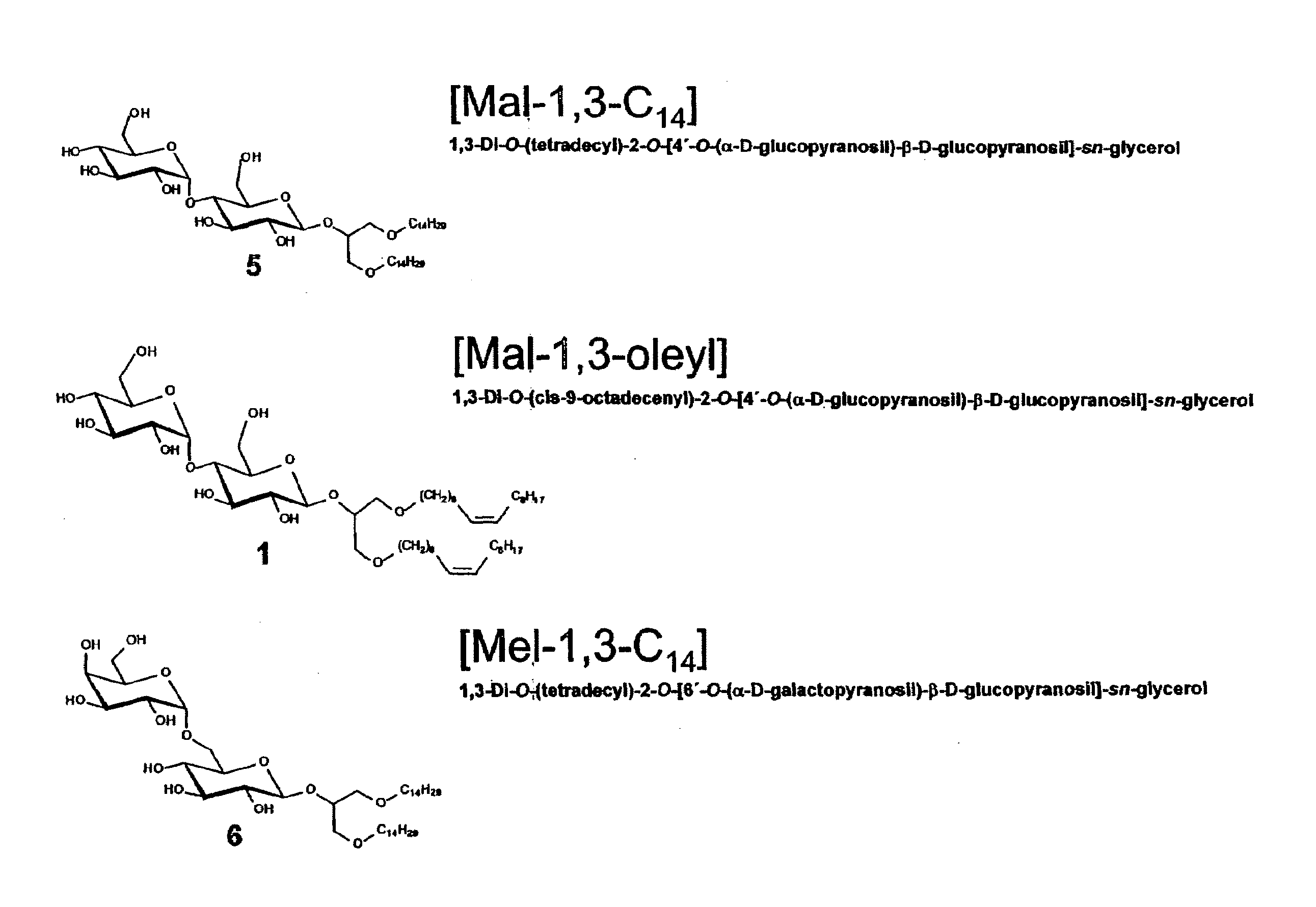 Use of Glycolipids as Adjuvants
