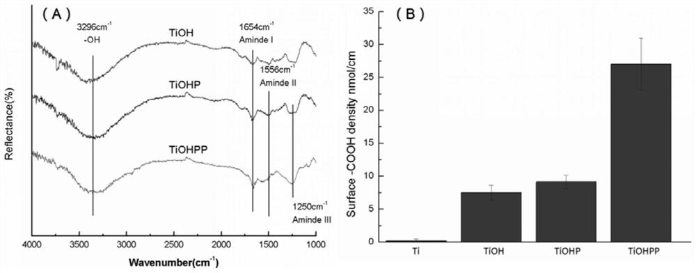 Method for mediating albumin to form protein layer on material surface, biomaterial and application thereof