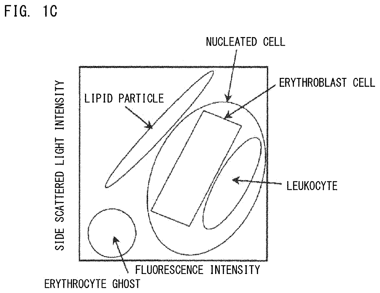 Bone marrow fluid analysis method, sample analyzer, and non-transitory storage medium