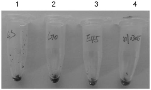 Method for creating HMW-GS (high molecular weight glutenin subunits) fully deleted waxy wheat