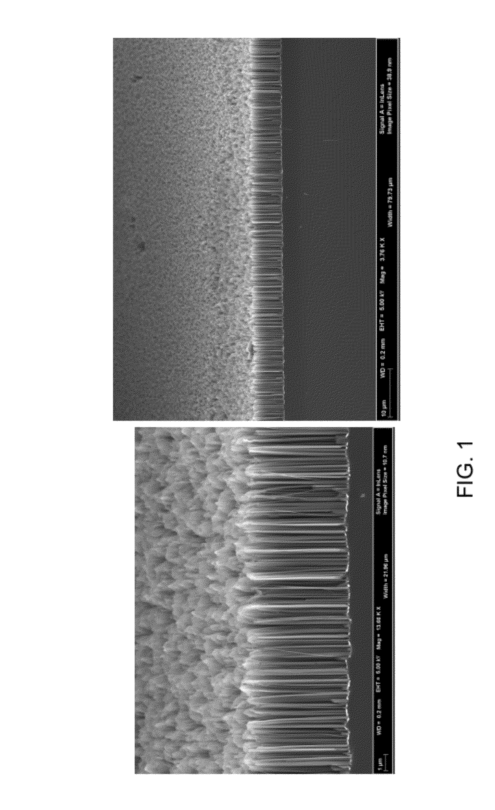 Process for fabricating nanowire arrays