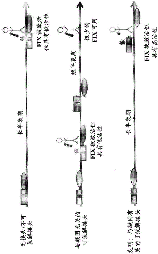 Fusion proteins comprising factor ix for prophylactic treatment of hemophilia and methods thereof