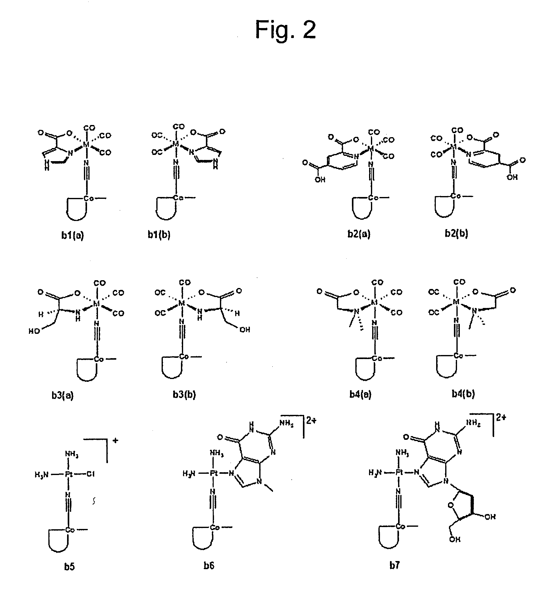 Metal complexes having vitamin b12 as a ligand