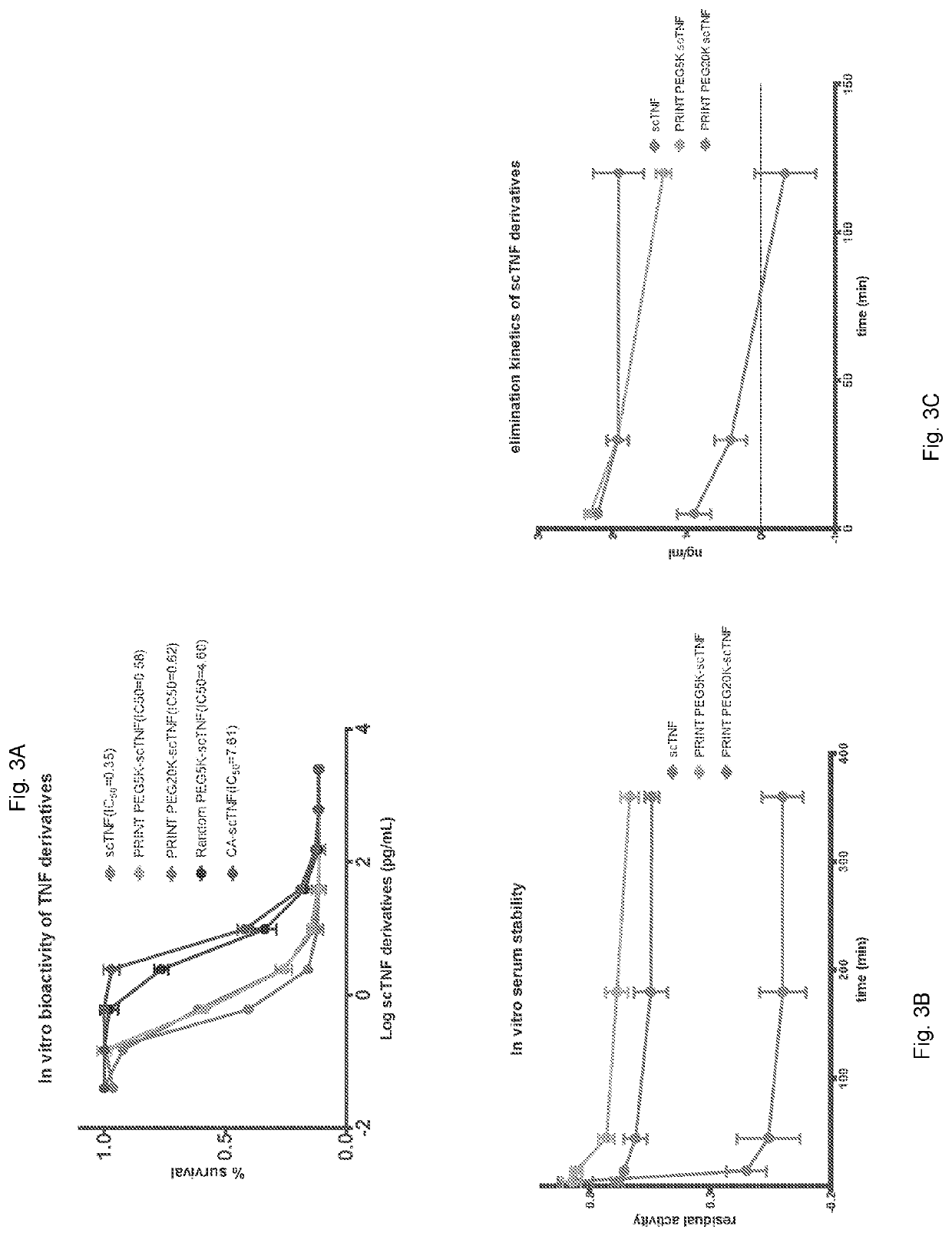 Protein bioconjugation method