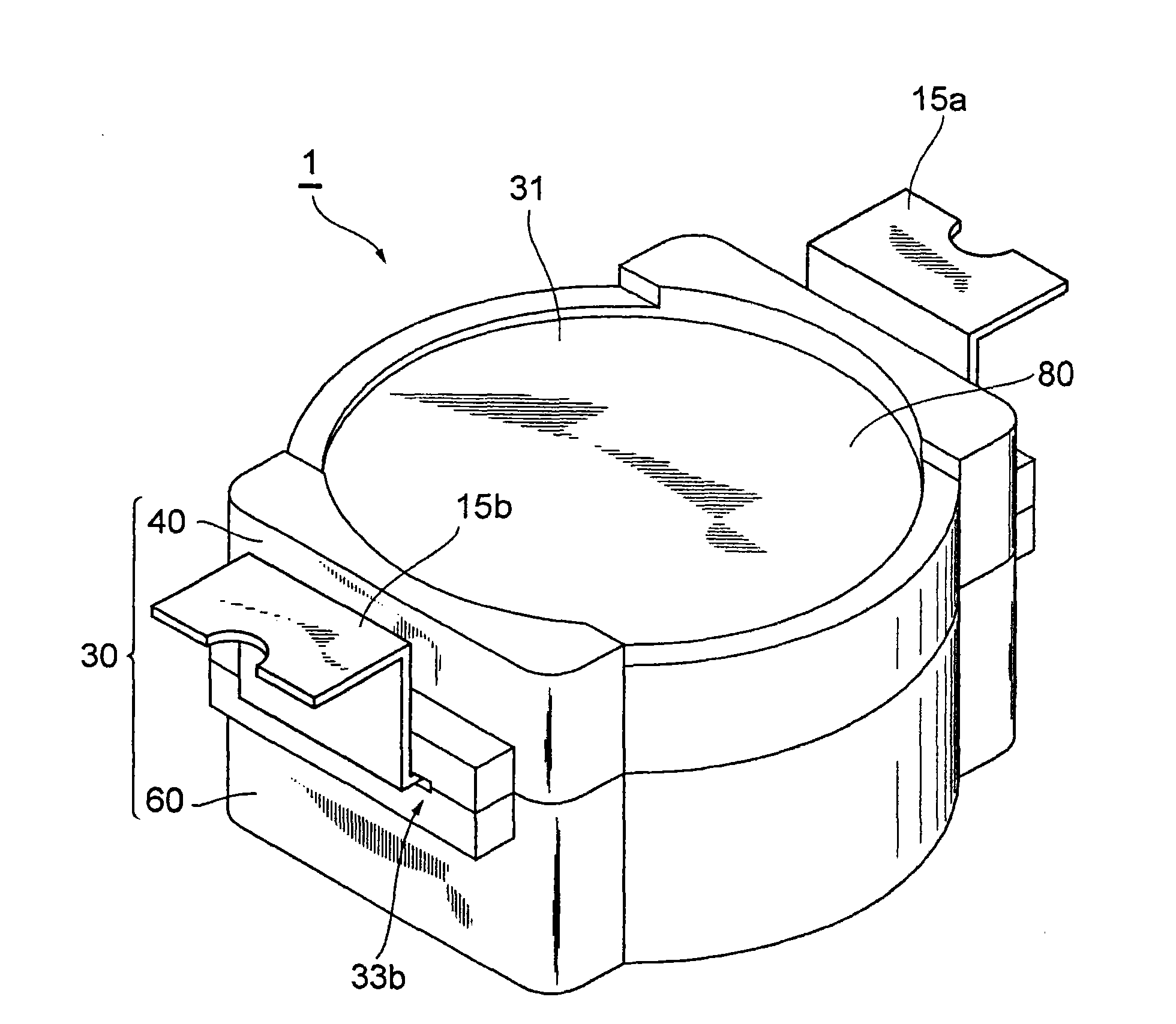 Electronic component unit and method for manufacturing same