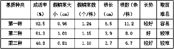 Pseudo-planting matrix beneficial for growth of tissue cultured seedlings of bletilla striata and preparation method thereof