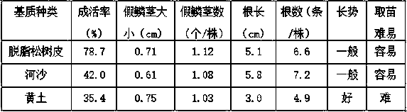 Pseudo-planting matrix beneficial for growth of tissue cultured seedlings of bletilla striata and preparation method thereof