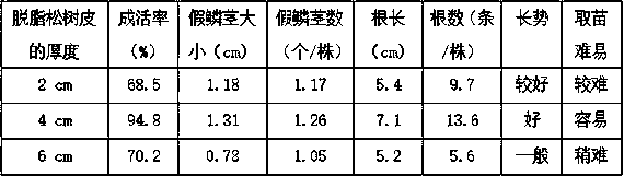 Pseudo-planting matrix beneficial for growth of tissue cultured seedlings of bletilla striata and preparation method thereof