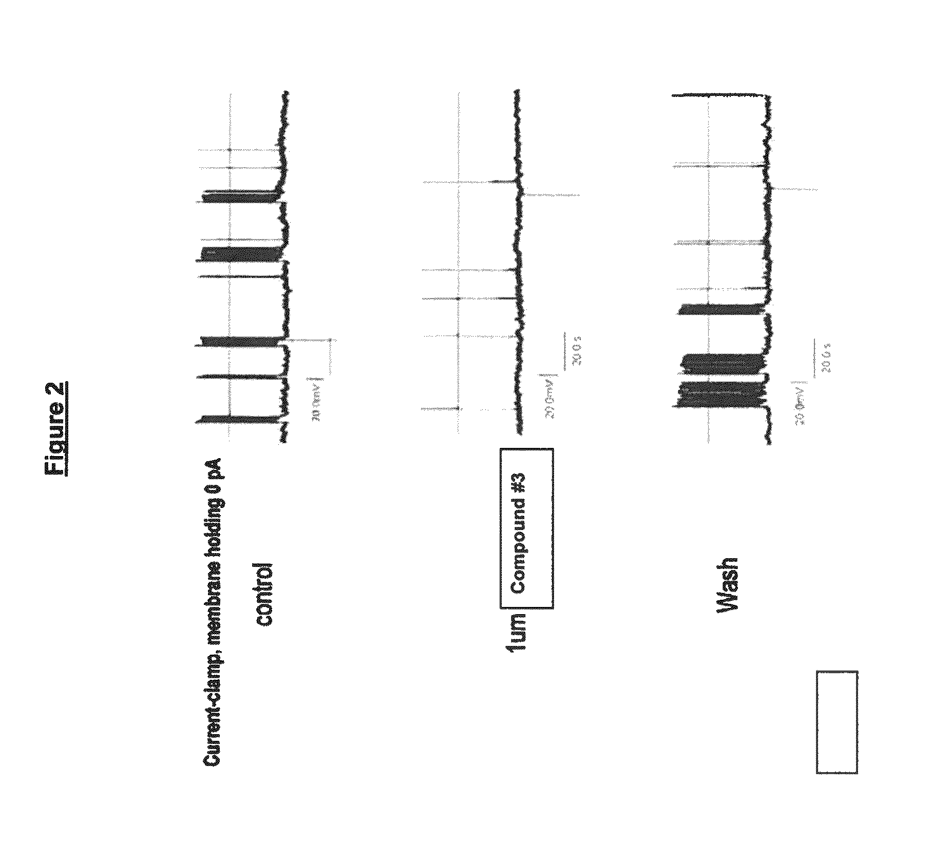 Benzimidazole derivatives as selective blockers of persistent sodium current