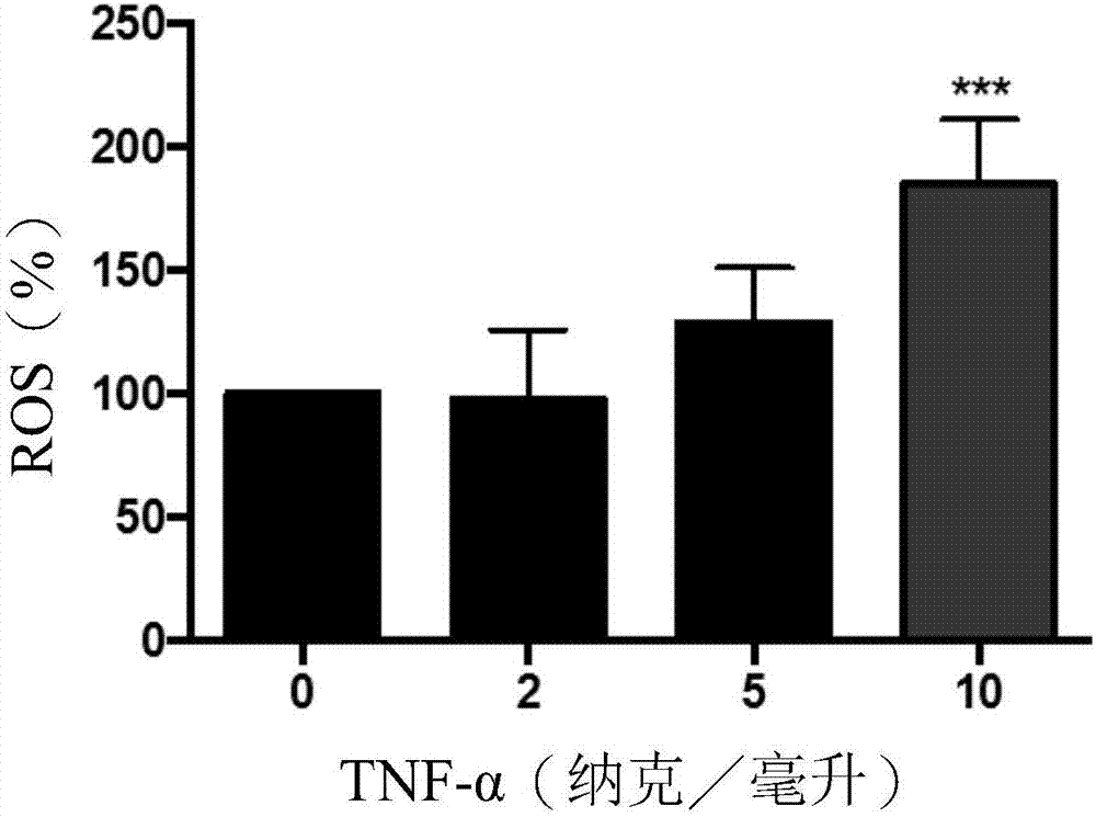 Uses of poria cocos extract and tumulosic acid in protecting muscles