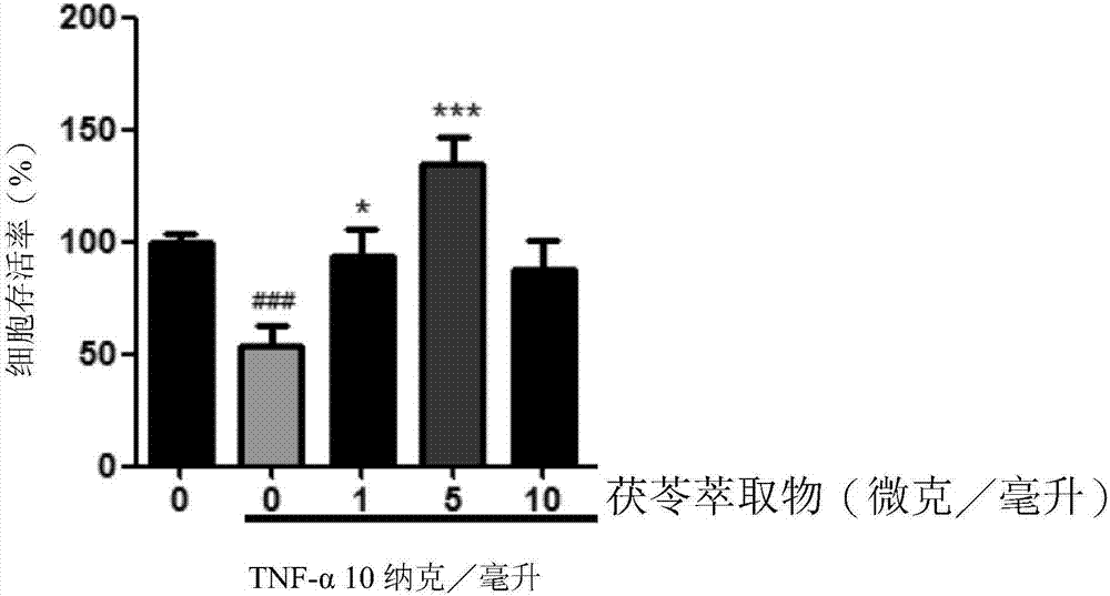 Uses of poria cocos extract and tumulosic acid in protecting muscles