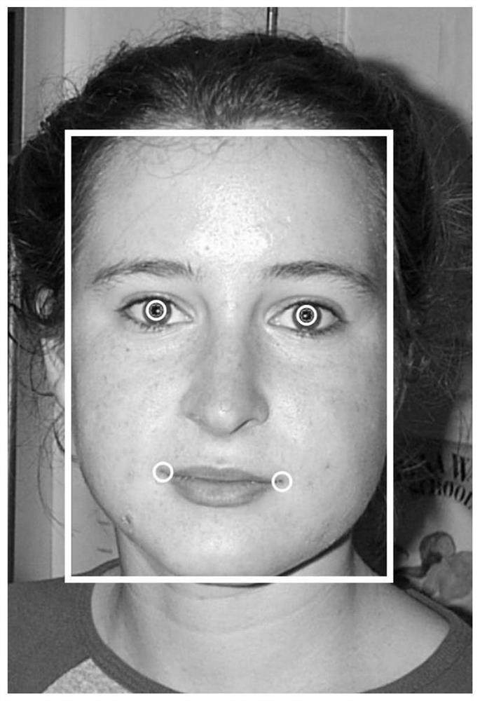 Face recognition algorithm and face recognition device adaptive to illumination interference environment