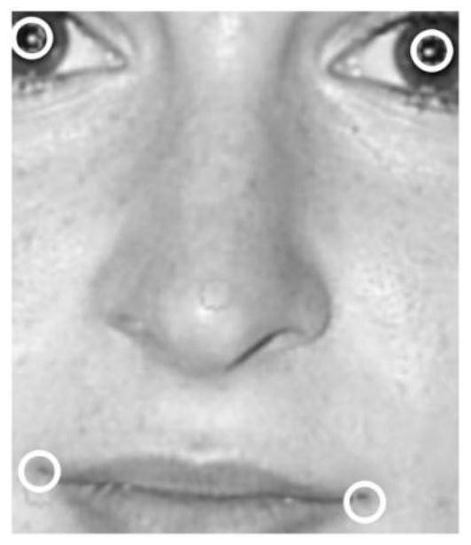 Face recognition algorithm and face recognition device adaptive to illumination interference environment