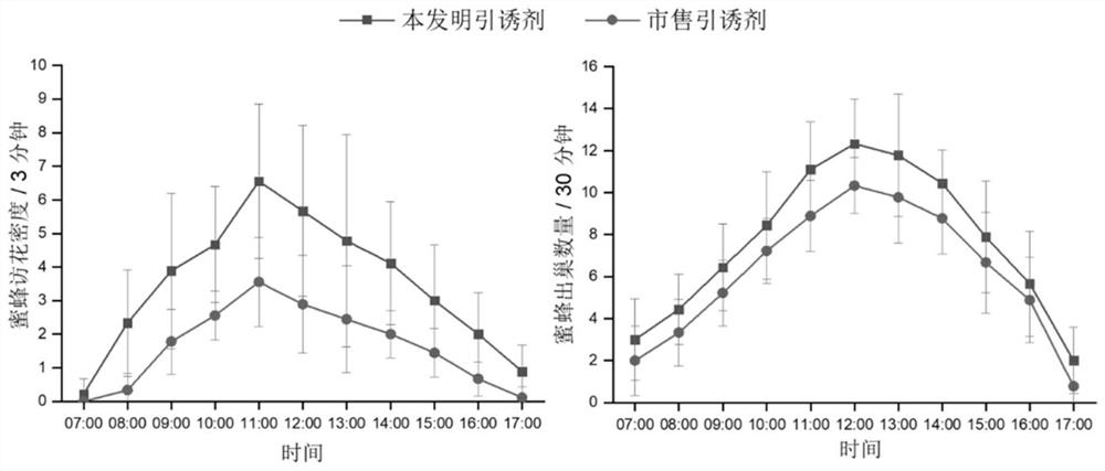 A kind of bee attractant and its application and method for luring bees to pollinate tomato flowers