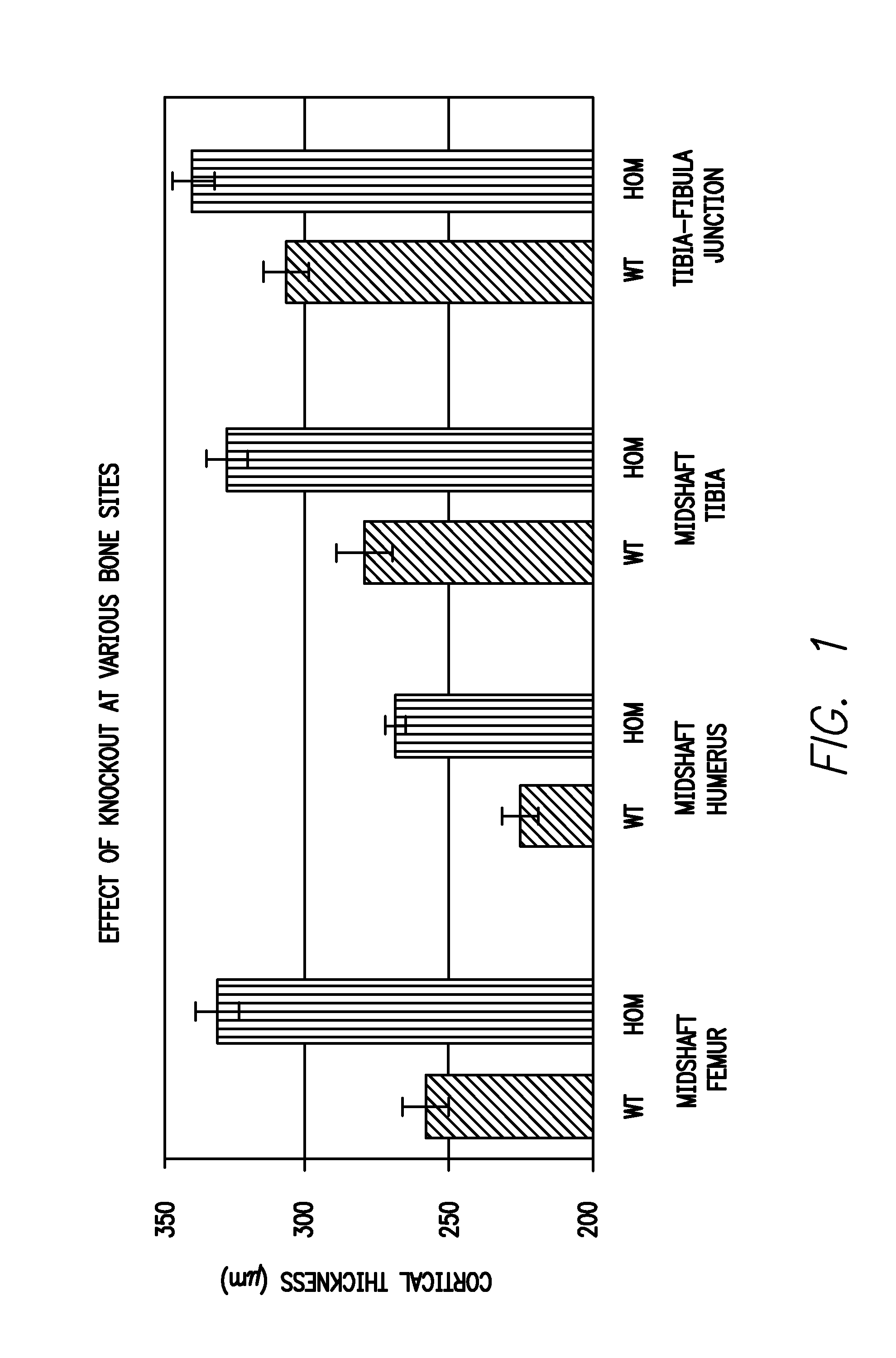 Inhibitors of notum pectinacetylesterase and methods of their use