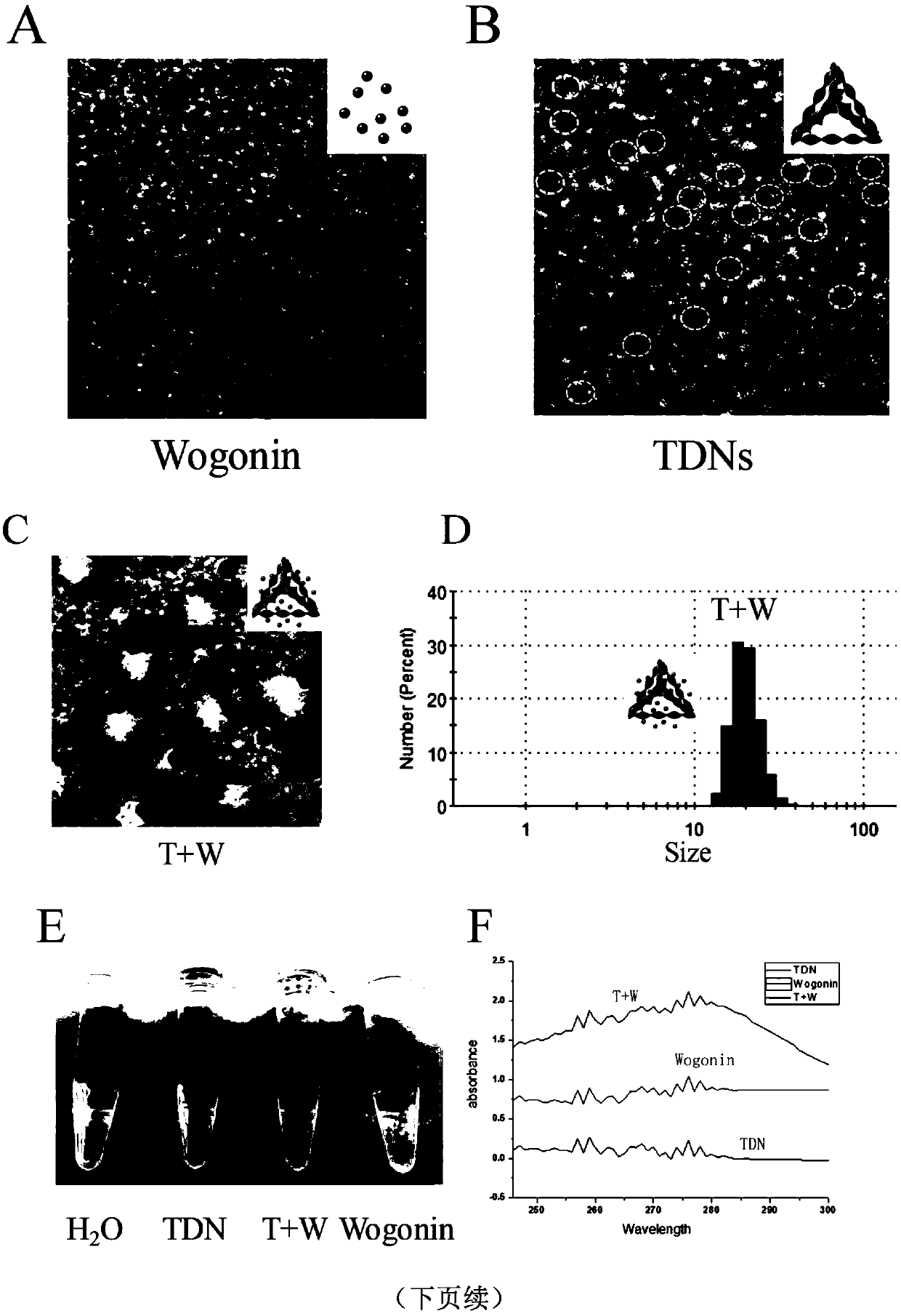 DNA tetrahedron-wogonin compound and preparation method and application thereof