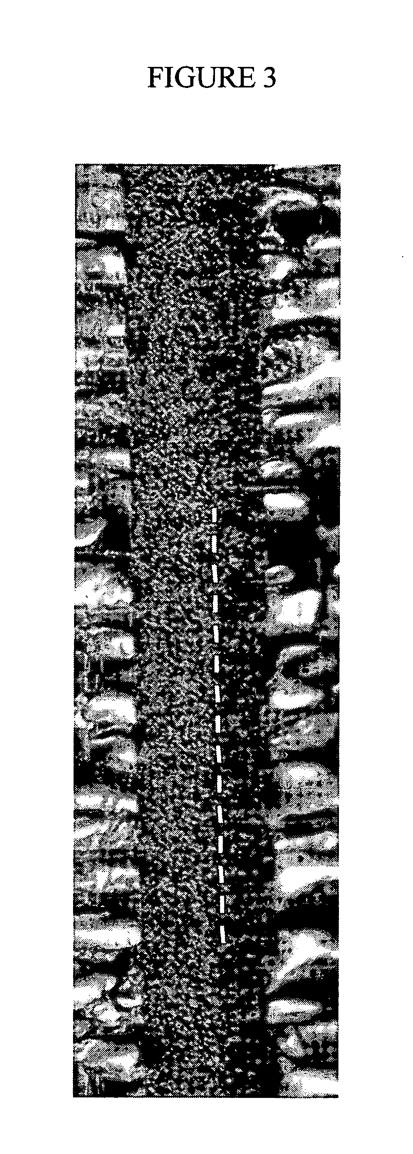 Multi-layer polyelectrolyte membrane