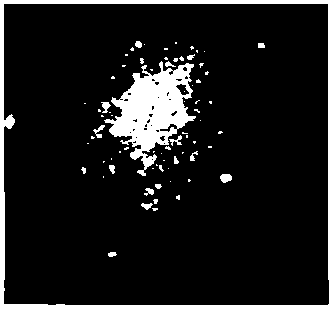 Fried rice mate formula containing sweet potato carotene and preparation method thereof