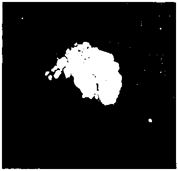 Fried rice mate formula containing sweet potato carotene and preparation method thereof