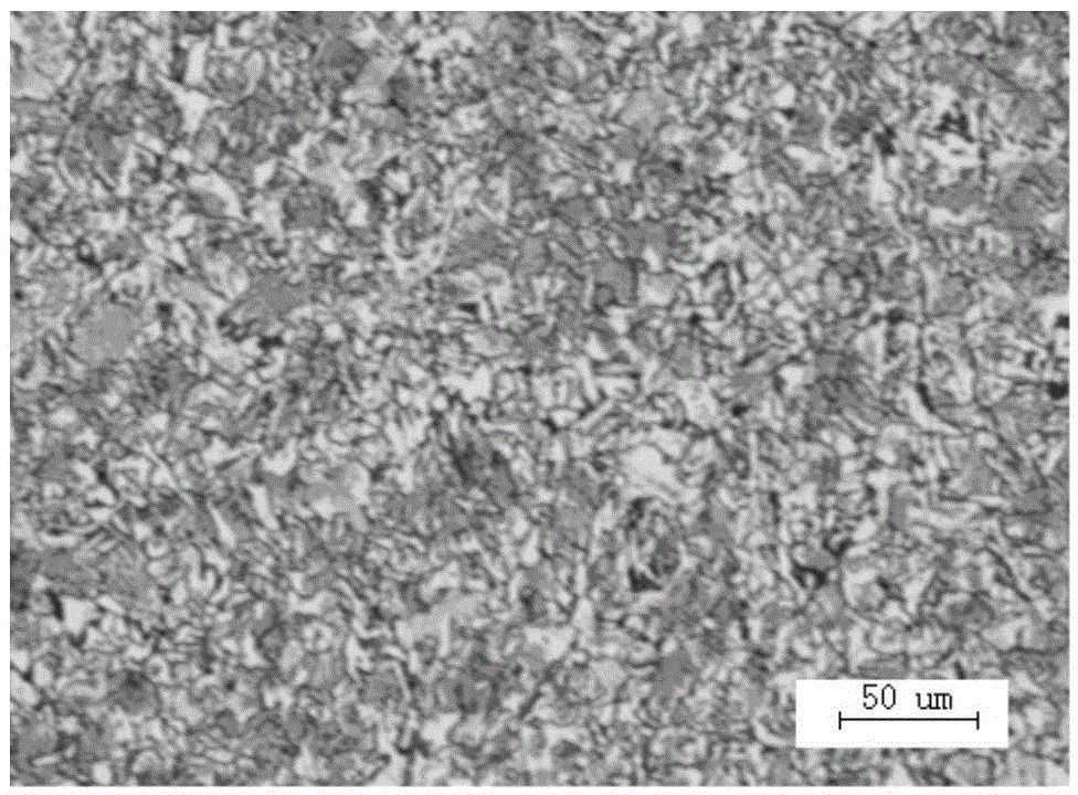 A hot-rolled steel coil for high-plasticity welded gas cylinders and its production process