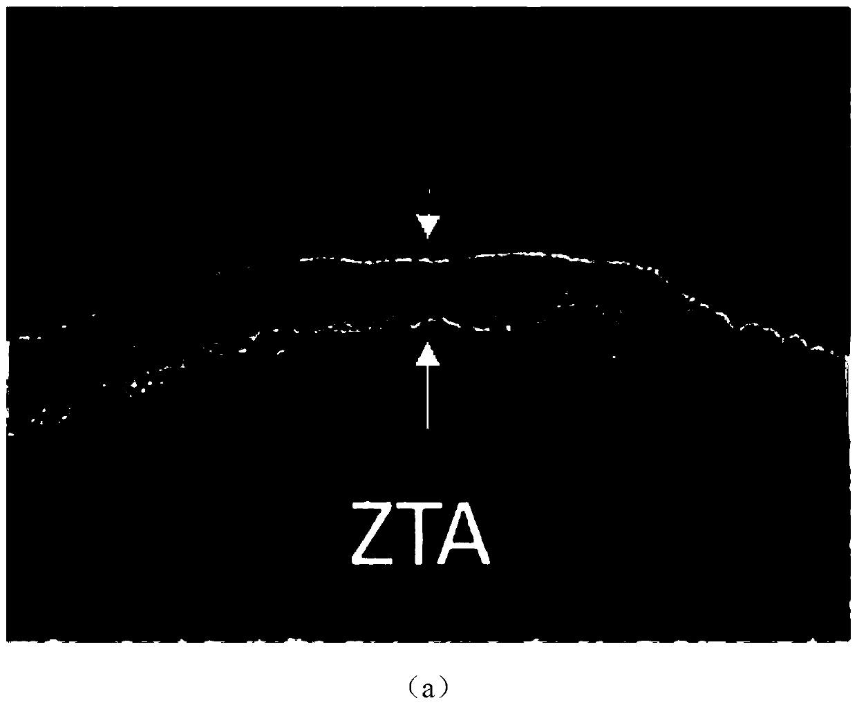 Preparation method for surface treatment ZTA particle enhanced steel-based composite grinding roller
