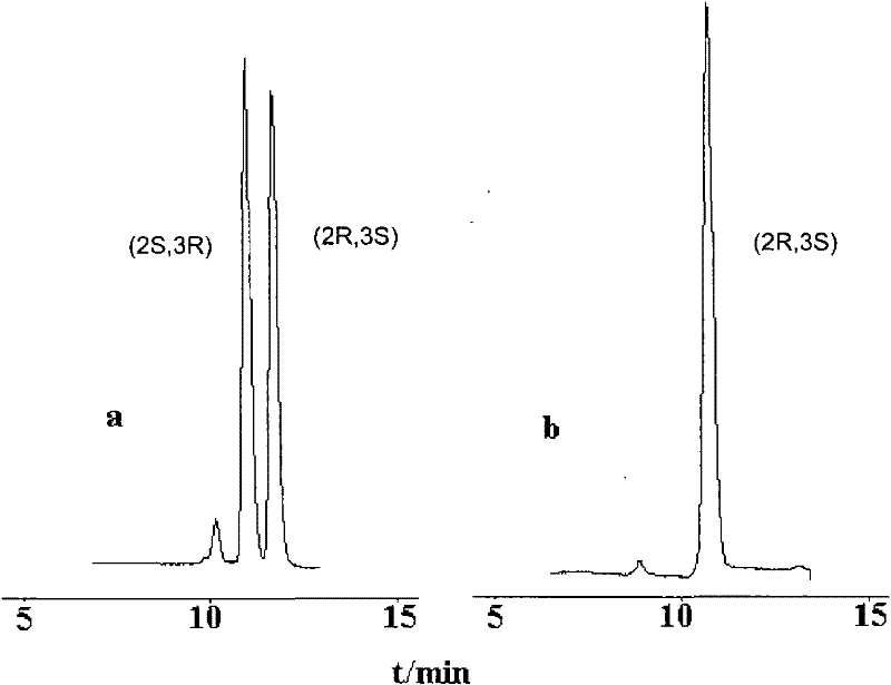 Esterase with racemic phenyl glycidyl ester split activity, encoding gene and application thereof