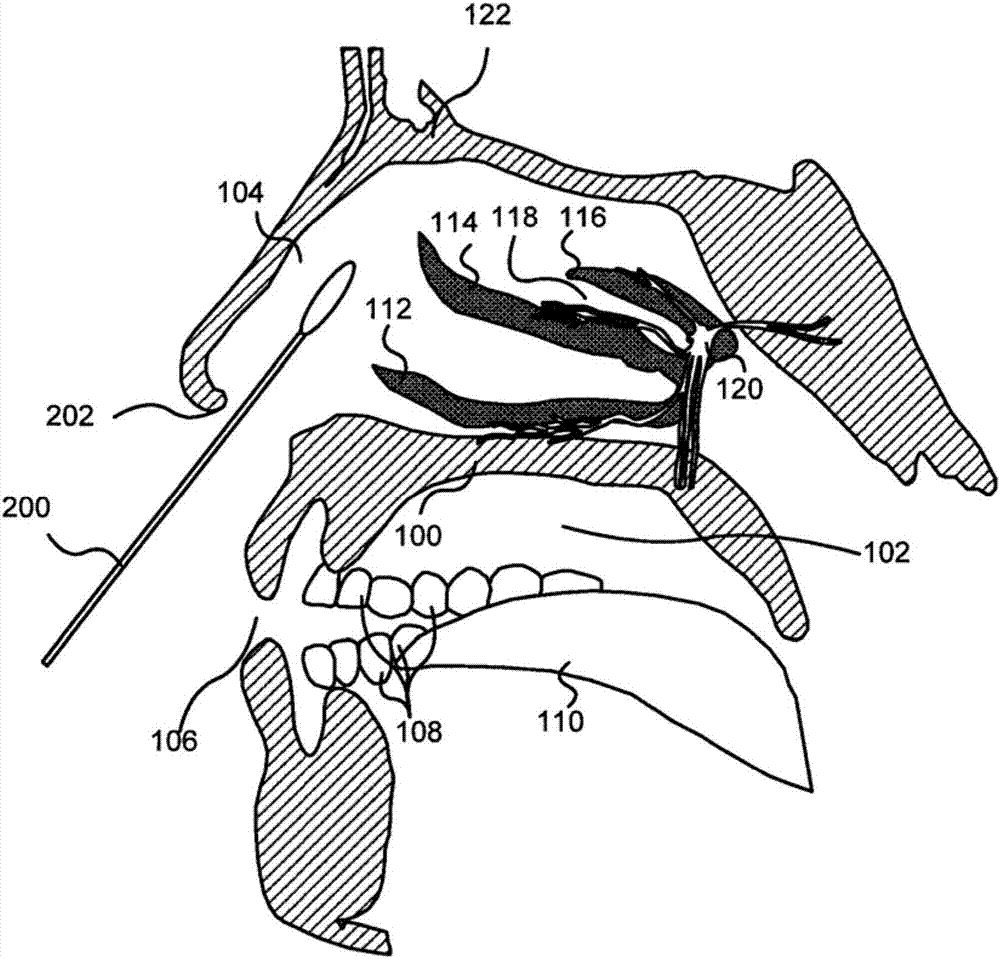 Systems and devices that facilitate intranasal therapy for patients