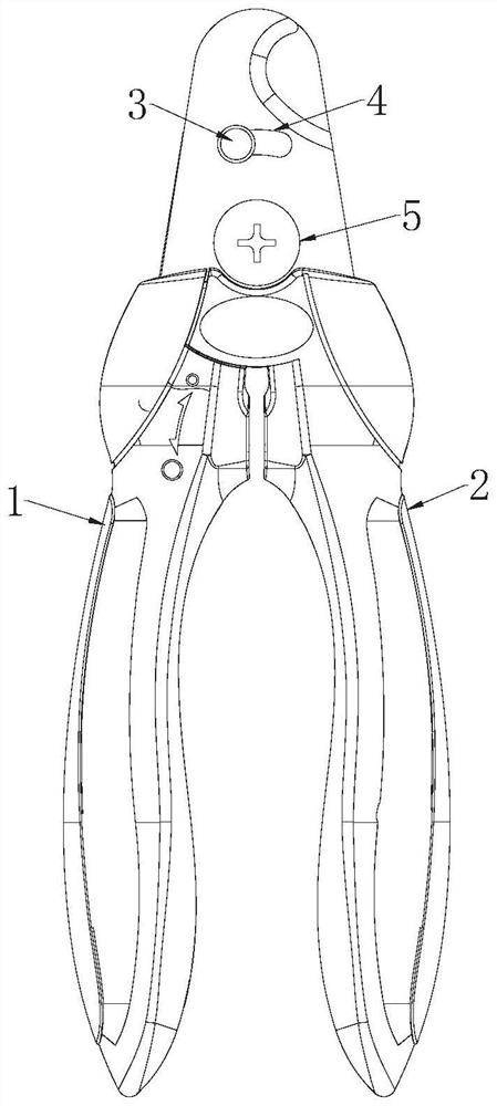 Reinforced pet nail scissors