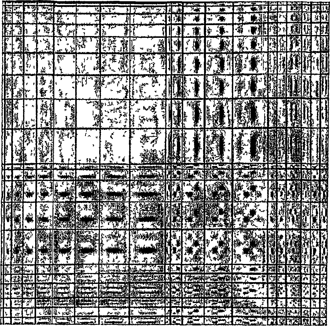 Video encoding and decoding methods and corresponding devices