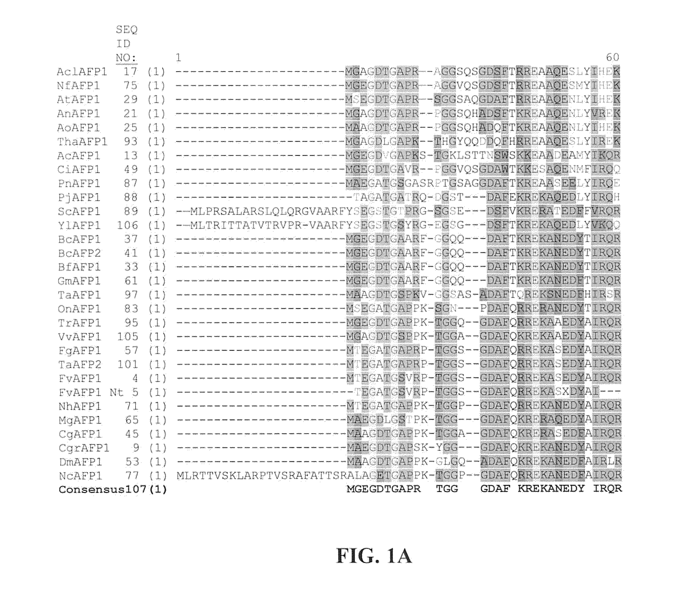 Antipathogenic Proteins and Methods of Use