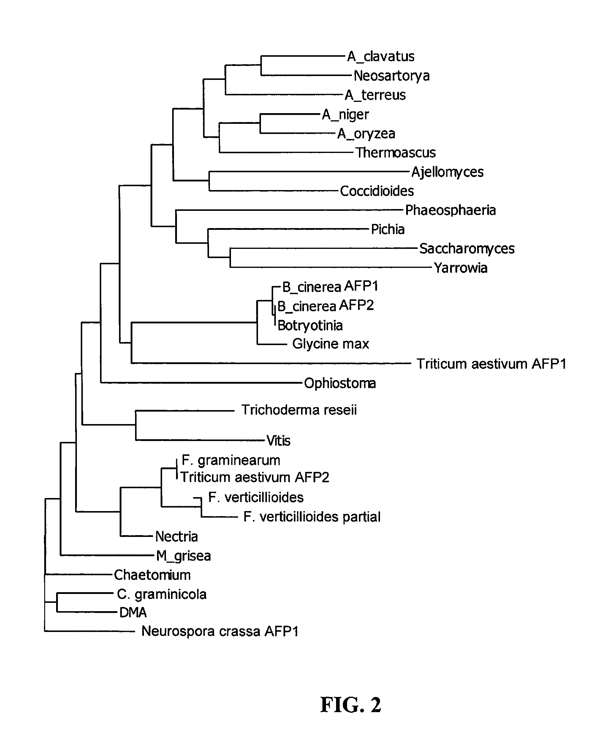 Antipathogenic Proteins and Methods of Use