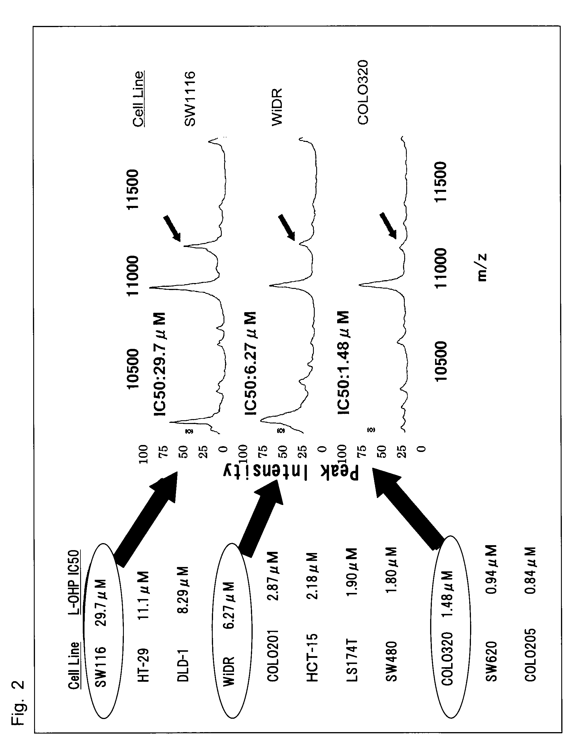 Method for determination of sensitivity to anti-cancer agent