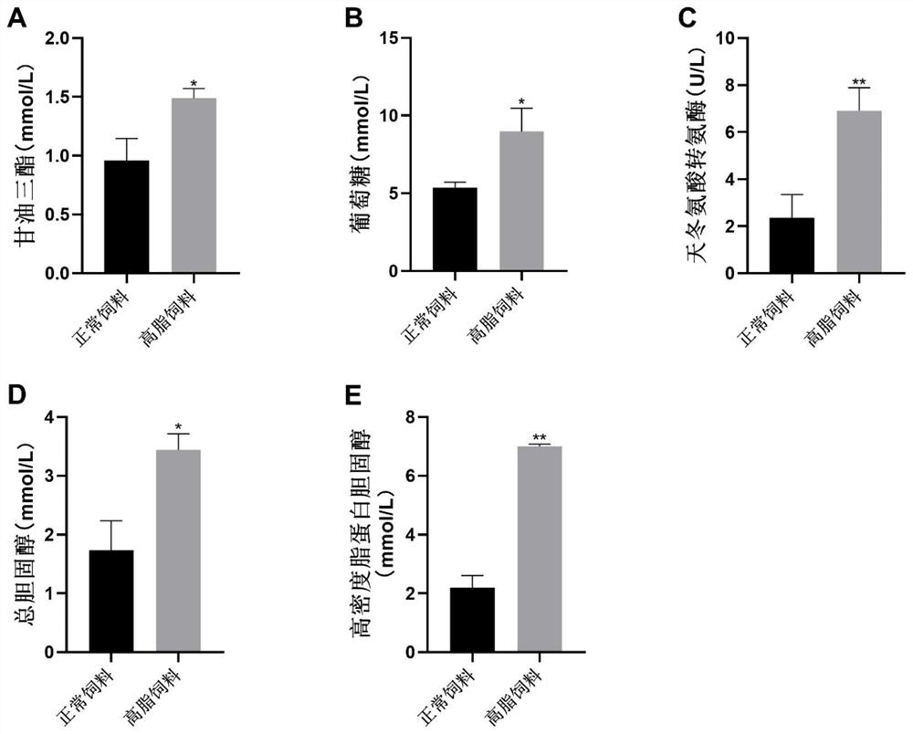 Application of 1-phenyl-1-propanol in preparation of medicine for treating hyperlipidemia and/or diabetes