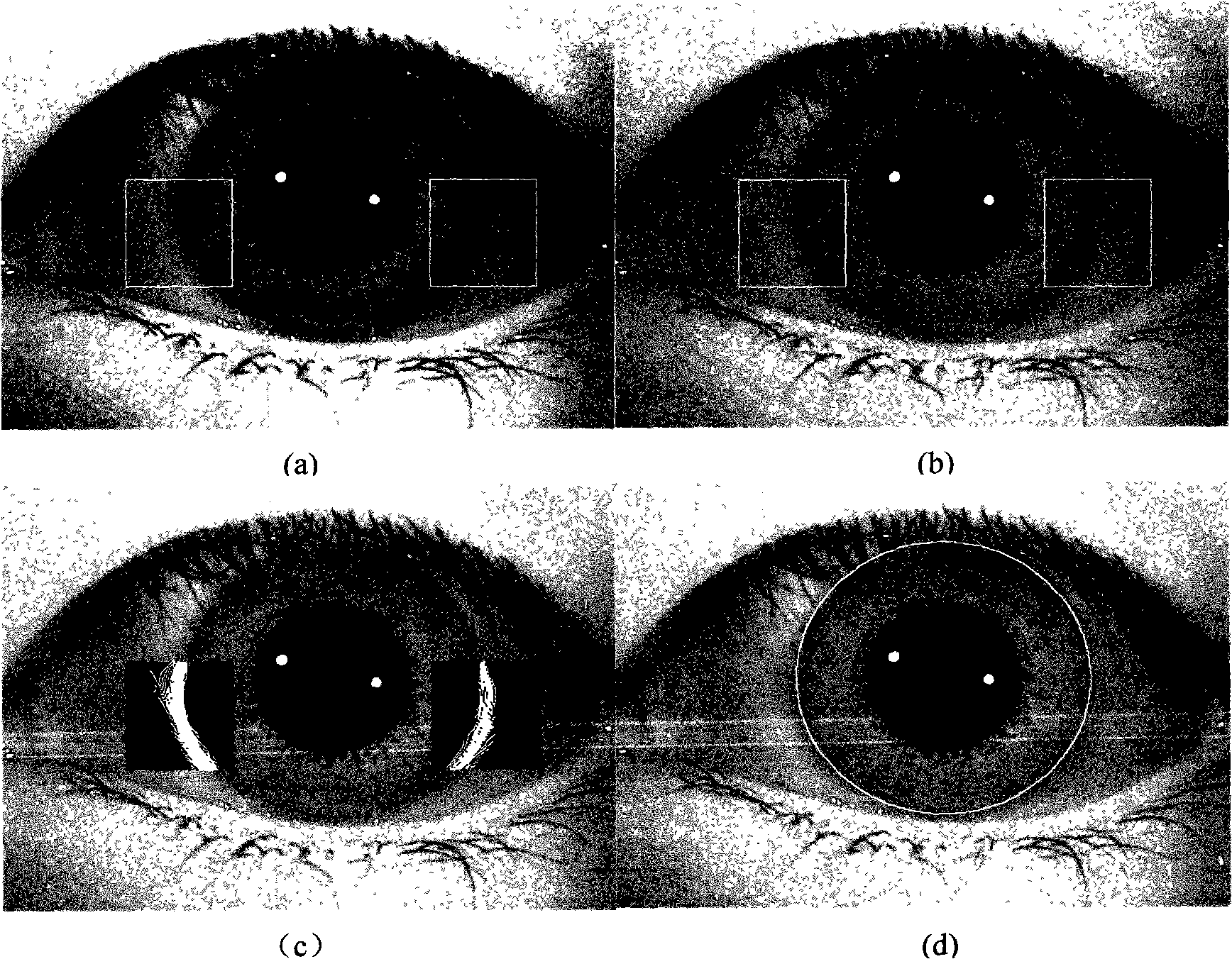 Iris positioning method based on Maximum between-Cluster Variance and gray scale information