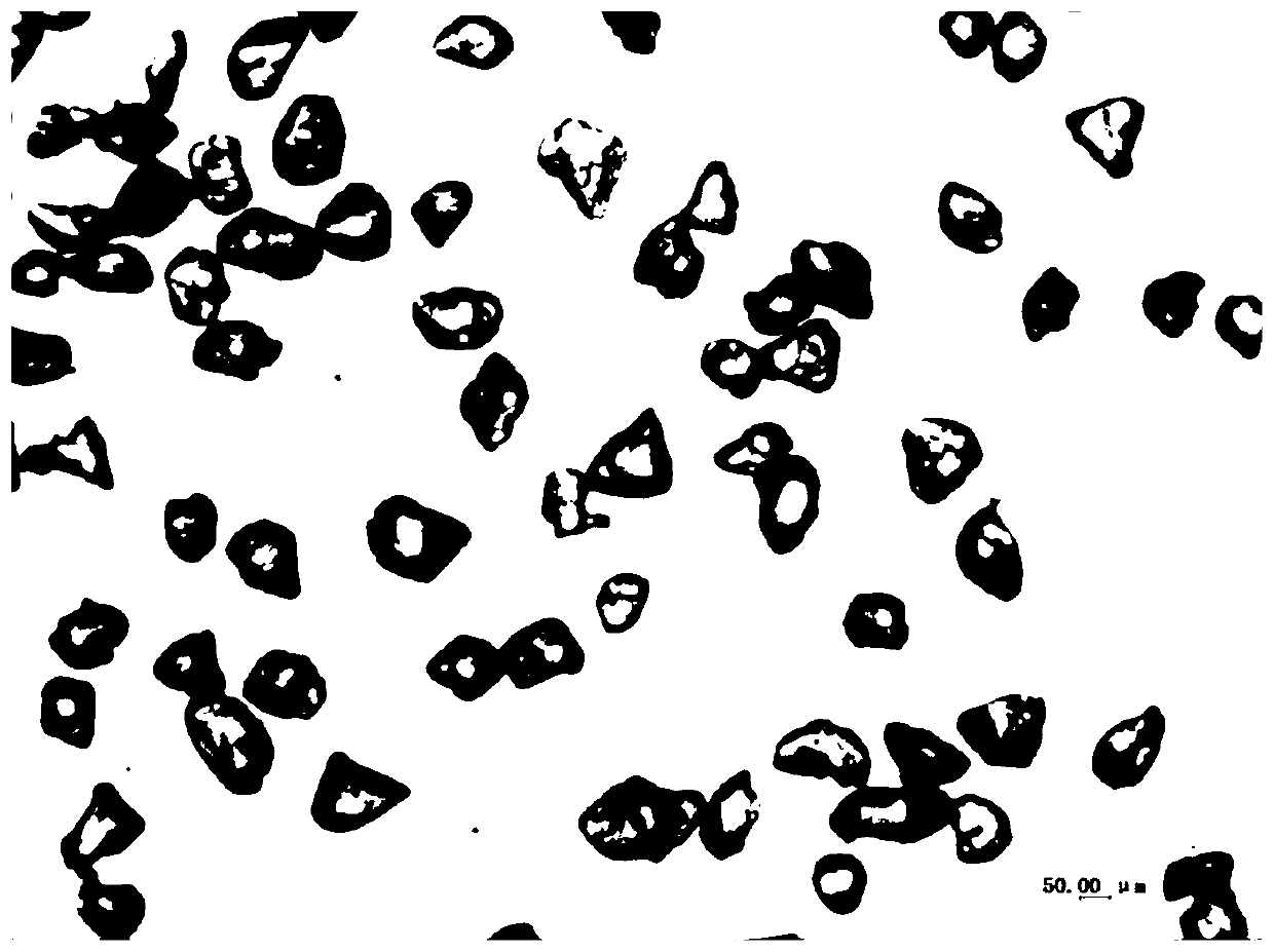 Fractional crystallization method for extracting high-purity sodium sulfate and sodium chloride that can be used as resources from high-salt wastewater