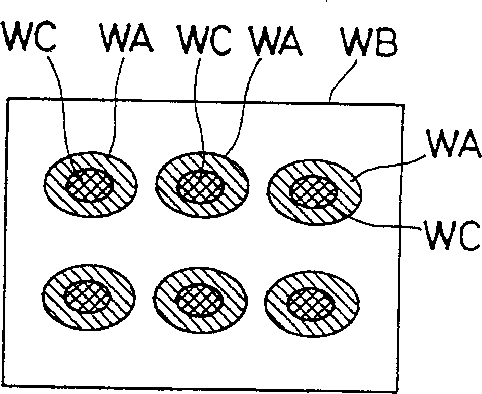 Radiation testing device and radiation testing method