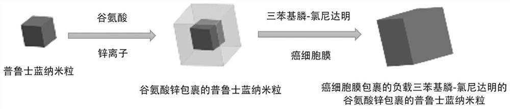 A cancer cell membrane-wrapped zinc glutamate-wrapped Prussian blue nanoparticle loaded with triphenylphosphine-lonidamine and its preparation method