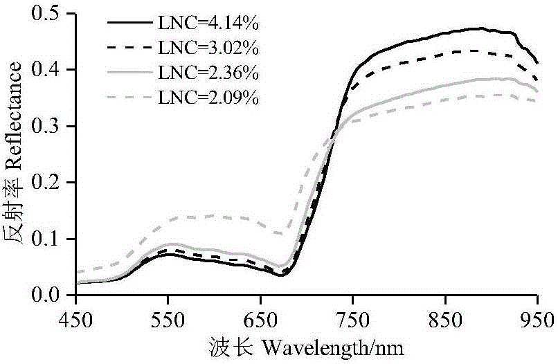 Hyper-spectral estimation method of total nitrogen content of rice leaves and estimation model constructing method