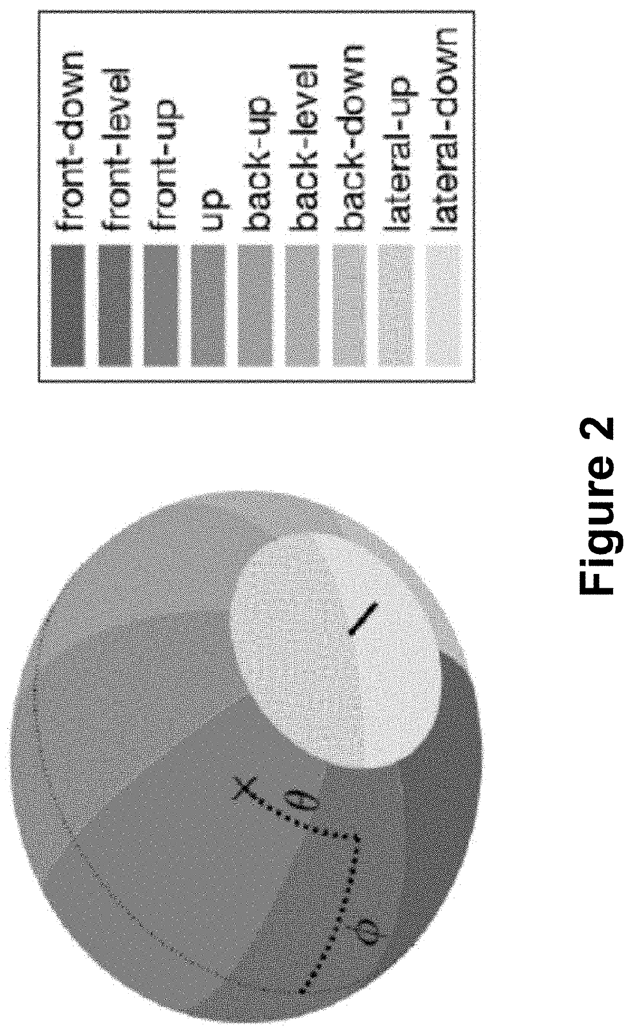 Systems, methods, and computer-readable media for improved audio feature discovery using a neural network